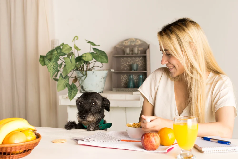 Pet Wellness Plans - Are They Worth It in Canada